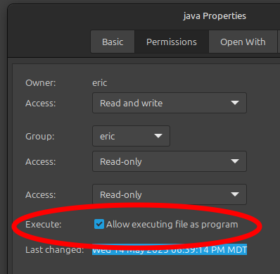 Make "java" file executable