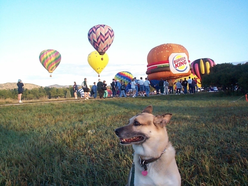 balloons