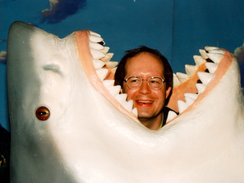when sharks attack